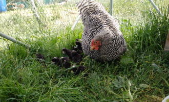 IMG_20250625_151003 (1).jpg